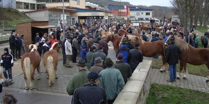 Blick auf den Pferdemarkt