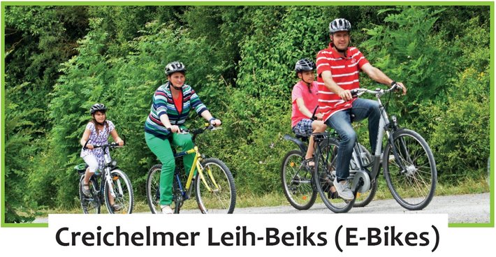 Bild E-Bike zu mieten